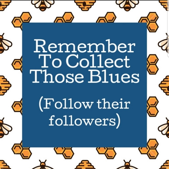 COMMENTS  FULL PLEASE LIKE NEW LISTING BEE'S QUEEN - Picture 6 of 8